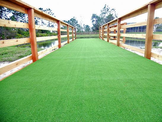 Artificial Grass Photos: Artificial Animal Shelter North Hills New York for Dogs  Back