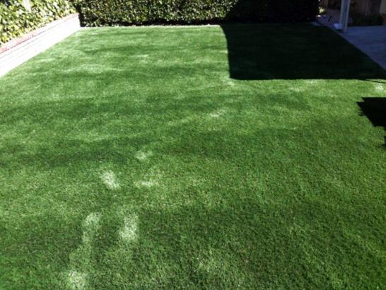 Artificial Grass Photos: Artificial Pets Areas Larchmont New York for Dogs  Front