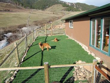 Artificial Grass Photos: Artificial Pets Areas Roslyn Heights New York for Dogs  Front