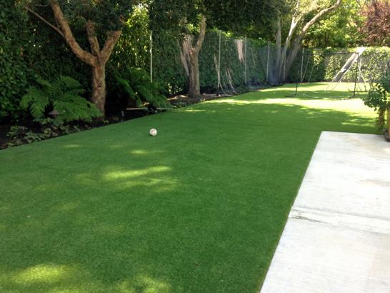 Artificial Grass Photos: Artificial Pets Areas Sands Point New York for Dogs  Commercial
