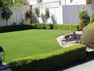 Artificial Grass Photos: Artificial Turf Great Neck Plaza New York Lawn  Pavers Front