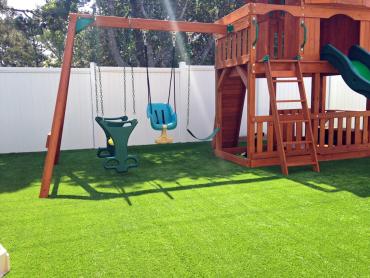 Artificial Grass Photos: Artificial Turf Nelsonville New York Playgrounds  Parks