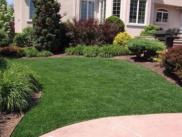 Artificial Grass Photos: Fake Grass Old Brookville New York  Landscape  Swimming Pools