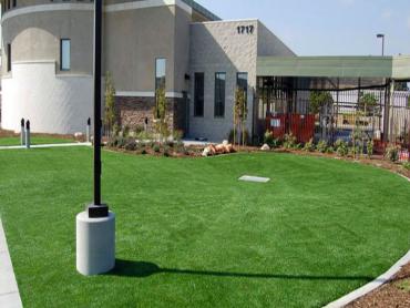 Artificial Grass Photos: Fake Grass Pawling New York Lawn  Commercial Landscape