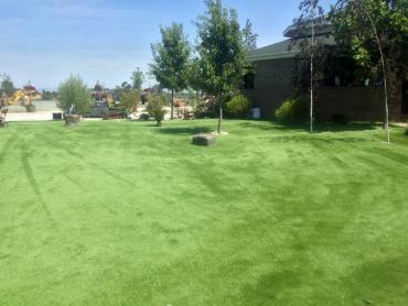 Artificial Grass Photos: Fake Pet Grass Point Lookout New York for Dogs