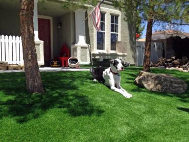 Artificial Grass Photos: Fake Pet Turf Bedford New York for Dogs  Commercial Landscape
