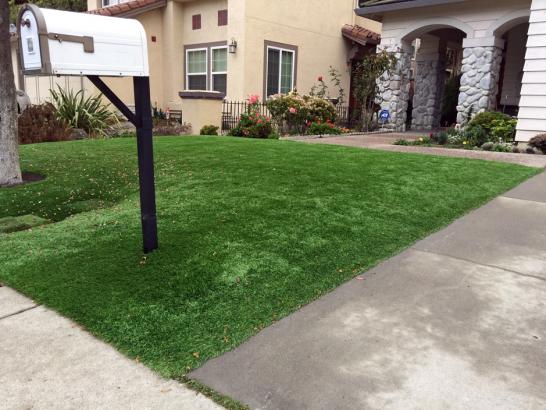 Artificial Grass Photos: Fake Turf Armonk New York Lawn  Front Yard