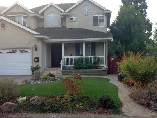Artificial Grass Photos: Fake Turf Central Islip New York Lawn  Front Yard