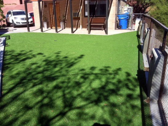 Artificial Grass Photos: Fake Turf Cornwall-on-Hudson New York  Landscape   Pools