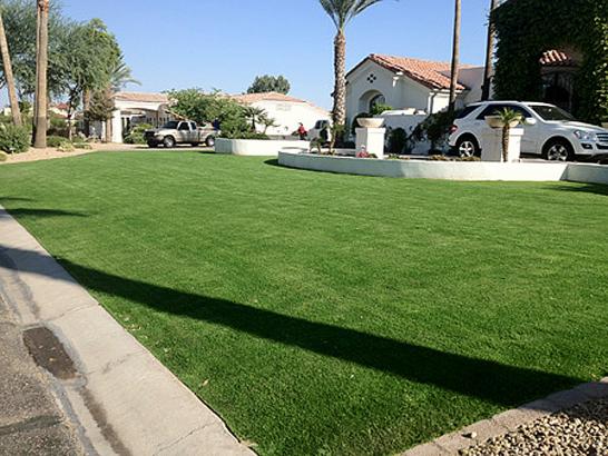 Artificial Grass Photos: Fake Turf Crugers New York Lawn  Front Yard