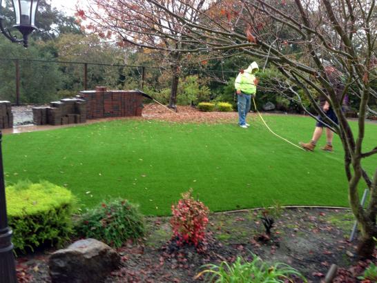Artificial Grass Photos: Fake Turf Roslyn Heights New York Lawn  Commercial Landscape