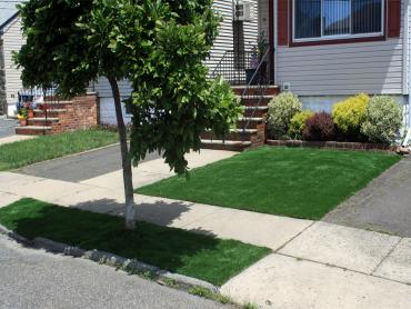 Artificial Grass Photos: Fake Turf Village of the Branch New York Lawn  Back Yard
