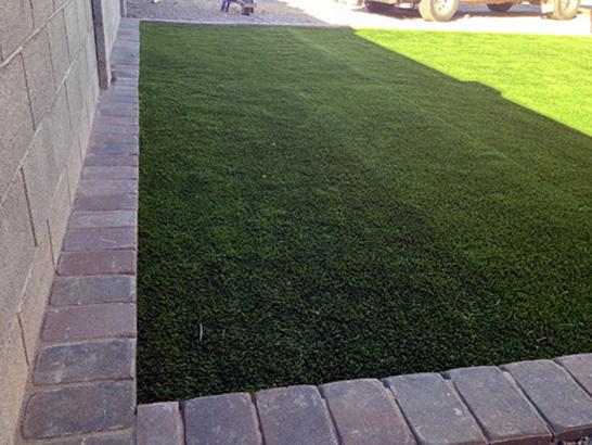 Artificial Grass Photos: Faux Animal Shelter Central Valley New York Installation