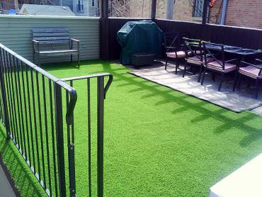 Artificial Grass Photos: Faux Animal Shelter Freeport New York for Dogs  Back Yard