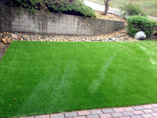 Artificial Grass Photos: Faux Grass Bethpage New York Lawn  Front Yard