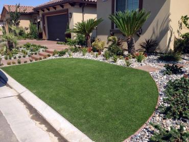 Artificial Grass Photos: Faux Grass Nyack New York Lawn  Commercial Landscape