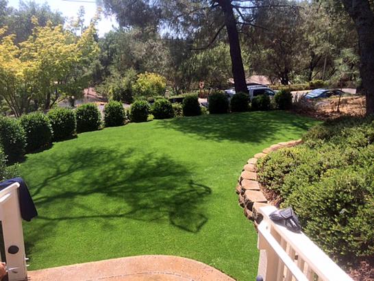 Artificial Grass Photos: Faux Grass Piermont New York Lawn   Pools Back Yard