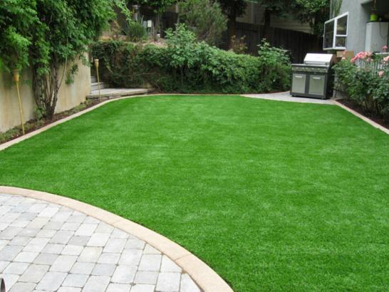 Artificial Grass Photos: Faux Grass Seaford New York Lawn  Front Yard