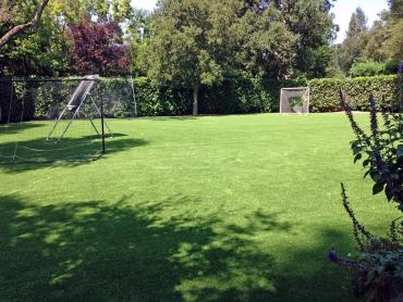 Artificial Grass Photos: Faux Grass Sports Fields New Square New York  Back Yard