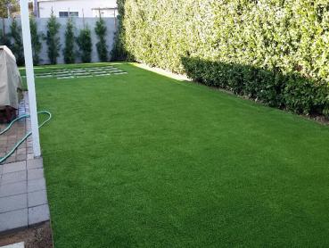 Artificial Grass Photos: Faux Pet Turf East Moriches New York for Dogs  Pavers Back