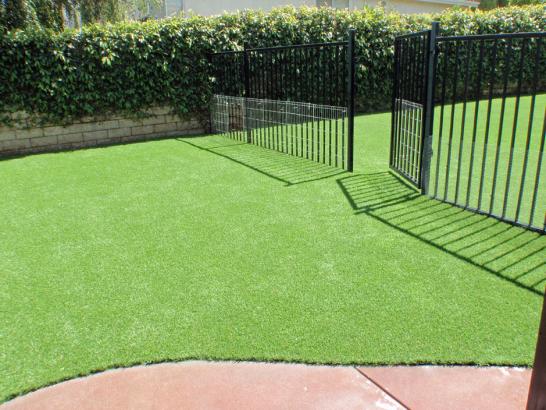 Artificial Grass Photos: Faux Pets Areas Fire Island New York for Dogs