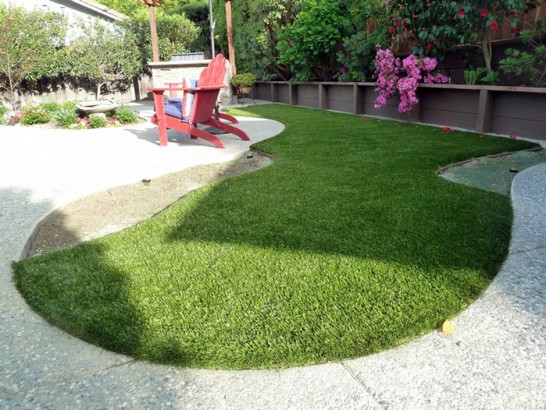 Artificial Grass Photos: Faux Pets Areas Miller Place New York for Dogs