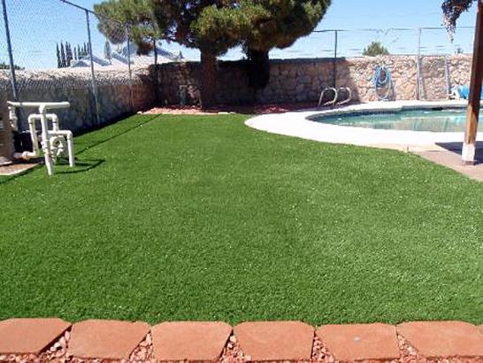 Artificial Grass Photos: Faux Pets Areas Wesley Hills New York for Dogs  Front Yard