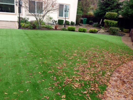 Artificial Grass Photos: Faux Turf Bellmore New York Lawn  Back Yard