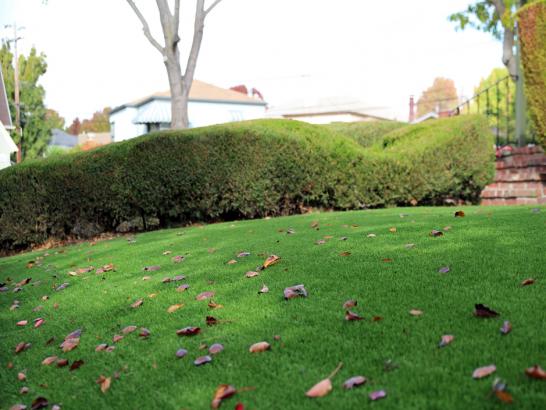 Artificial Grass Photos: Faux Turf Cold Spring Harbor New York  Landscape  Front Yard