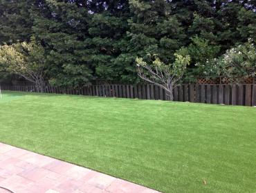 Artificial Grass Photos: Faux Turf Great Neck Gardens New York  Landscape  Back Yard