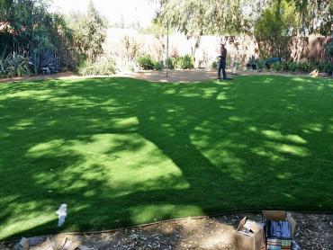 Artificial Grass Photos: Faux Turf Red Oaks Mill New York  Landscape  Front Yard