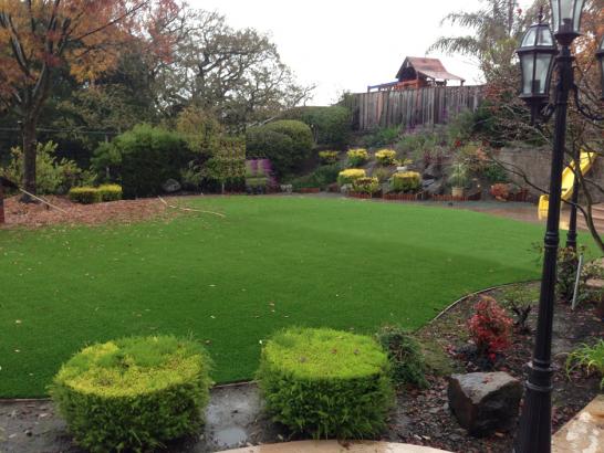 Artificial Grass Photos: Faux Turf South Hempstead New York Lawn  Front Yard