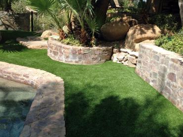 Artificial Grass Photos: Faux Veterinary Clinic Inwood New York for Dogs  Back Yard