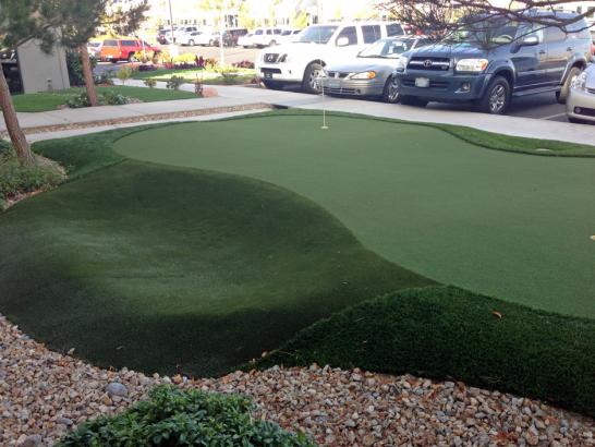 Artificial Grass Photos: Golf Putting Greens Hastings-on-Hudson New York Synthetic