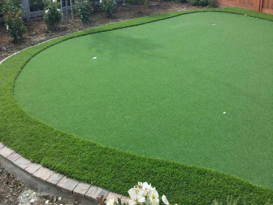 Artificial Grass Photos: Golf Putting Greens Hauppauge New York Faux Grass  Back Yard