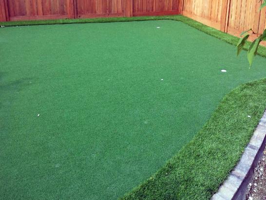 Artificial Grass Photos: Putting Greens Cove Neck New York Faux Grass  Commercial