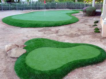 Artificial Grass Photos: Putting Greens Lincolndale New York Fake Grass  Back Yard