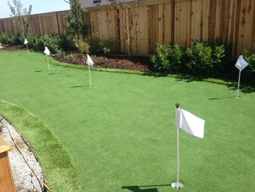 Artificial Grass Photos: Putting Greens Viola New York Faux Turf  Front Yard