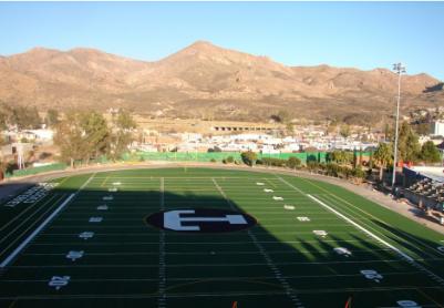 Artificial Grass Photos: Sports Turf Choice of Professional Athletes: Stadiums