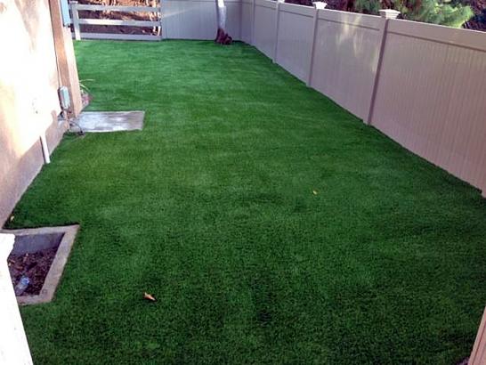 Synthetic Animal Shelter Wheatley Heights New York Installation artificial grass