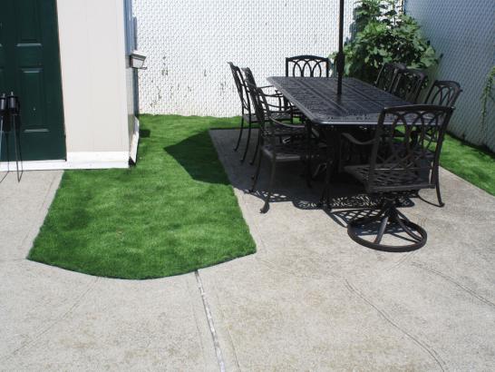 Artificial Grass Photos: Synthetic Grass Baxter Estates New York  Landscape  Back
