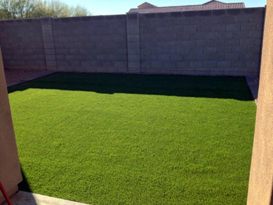 Artificial Grass Photos: Synthetic Grass Bay Wood New York Lawn  Front Yard