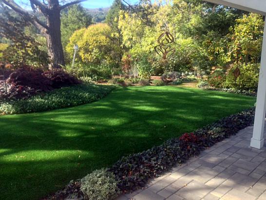 Artificial Grass Photos: Synthetic Grass East Meadow New York Lawn  Back Yard