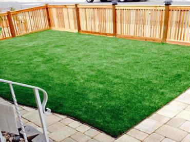 Artificial Grass Photos: Synthetic Grass North Patchogue New York  Landscape  Back