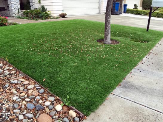 Artificial Grass Photos: Synthetic Grass Northport New York Lawn  Back Yard