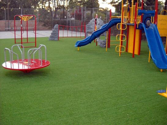 Artificial Grass Photos: Synthetic Grass Roslyn Estates New York  Kids Care  Swimming