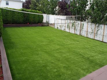 Artificial Grass Photos: Synthetic Grass Wheatley Heights New York  Landscape  Parks