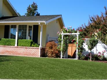 Artificial Grass Photos: Synthetic Grass Wurtsboro New York  Landscape  Front Yard