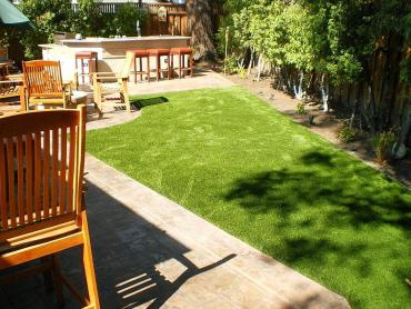 Artificial Grass Photos: Synthetic Pet Turf Glen Cove New York for Dogs  Recreational