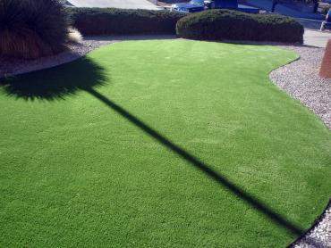 Artificial Grass Photos: Synthetic Turf Chappaqua New York  Landscape  Back Yard Front